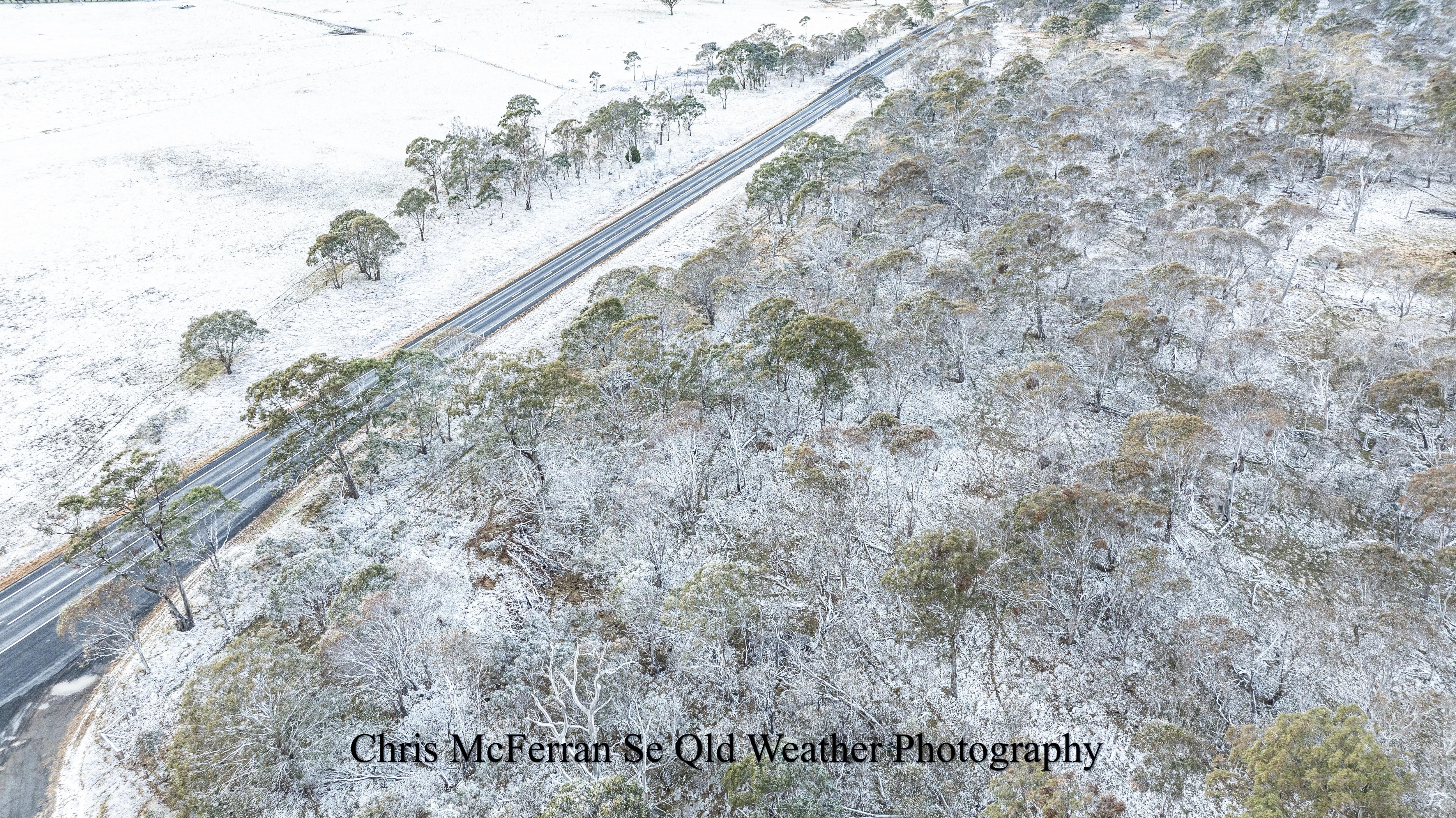 A drone image of trees in the Ben Lomond Range near Guyra covered with a dusting of snow