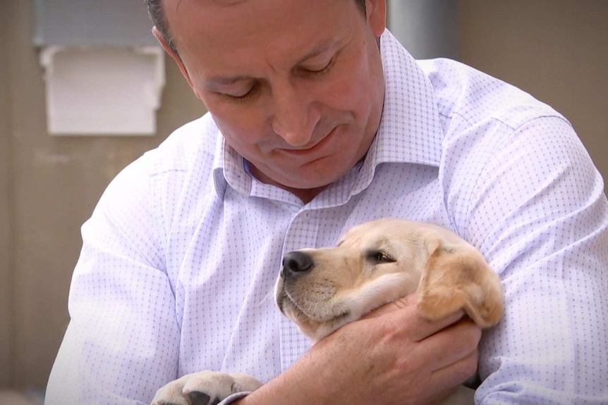 A close-up shot of Mark McGowan holding a puppy.