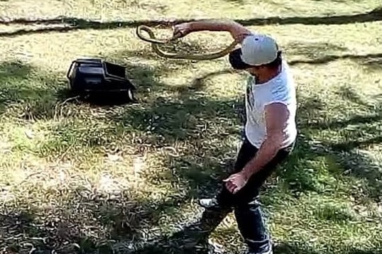 Snake catcher Andrew Smedley