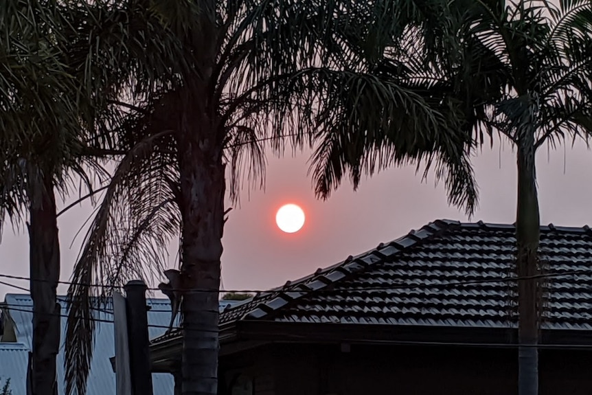 Morning sun over suburban houses coloured an unusual shade of orange due to smoke haze.
