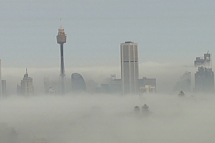 The fog over Sydney city this morning