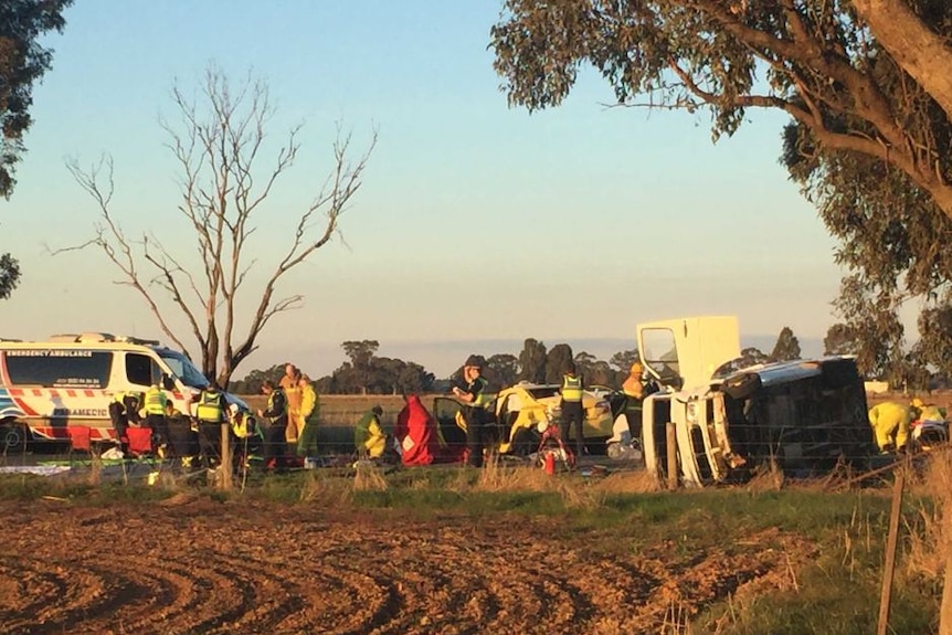 Emergency workers treat patients near an overturned vehicle, next to wire fencing underneath a large gumtree.