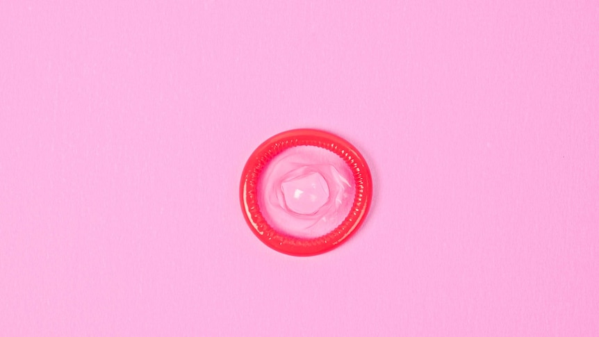 Pink condom rolled up on pink background.