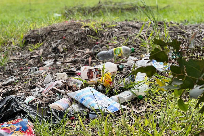 Empty bottles and other rubbish on the ground in a park
