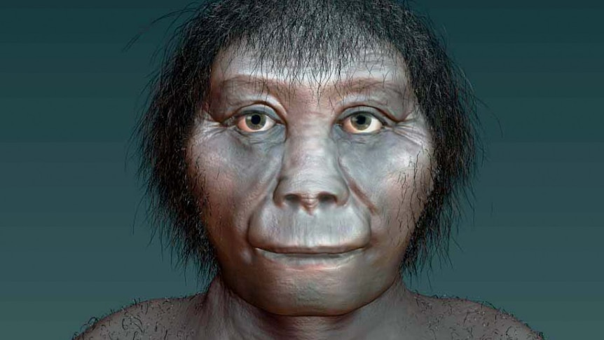 A hominid face.