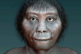 A hominid face.