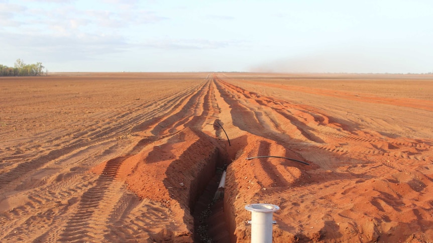 a  pipe laid in cleared land