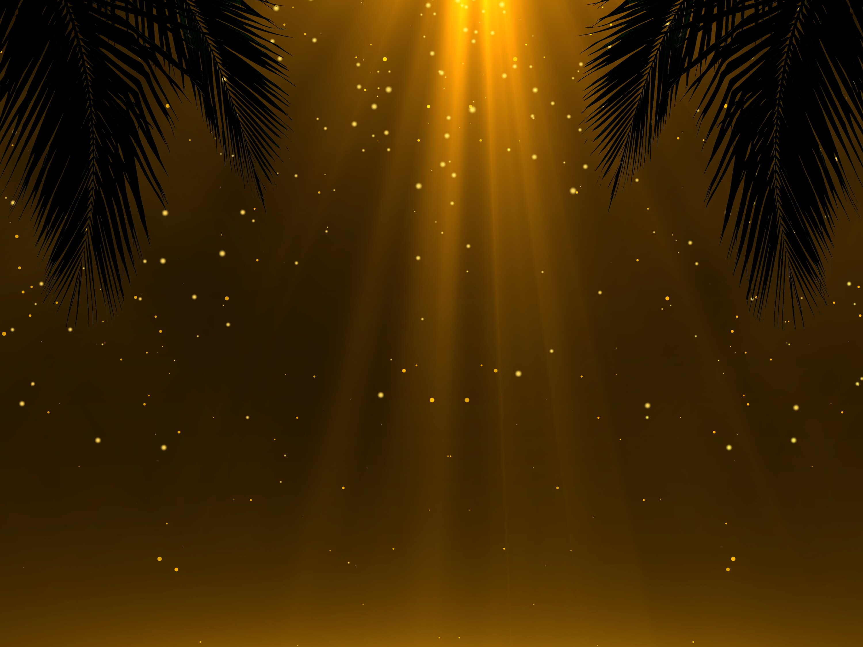 A graphic featuring rays of light between two palm frond shadows.