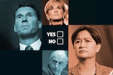 A composite image shows Cory Bernardi, Eric Abetz, Penny Wong and Julie Bishop shaded different colours.