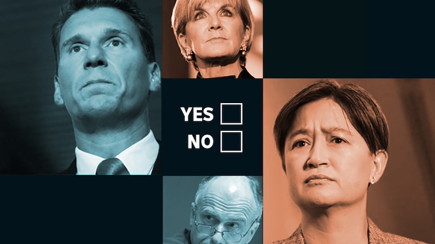 A composite image shows Cory Bernardi, Eric Abetz, Penny Wong and Julie Bishop shaded different colours.