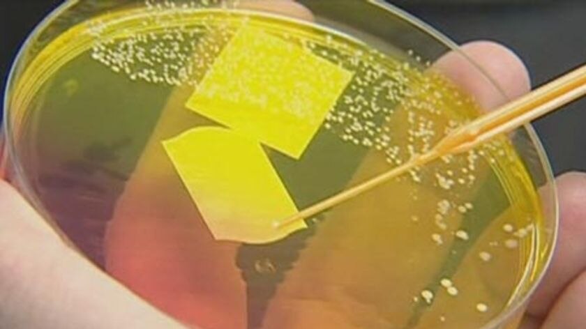 Researchers take step towards new antibiotic