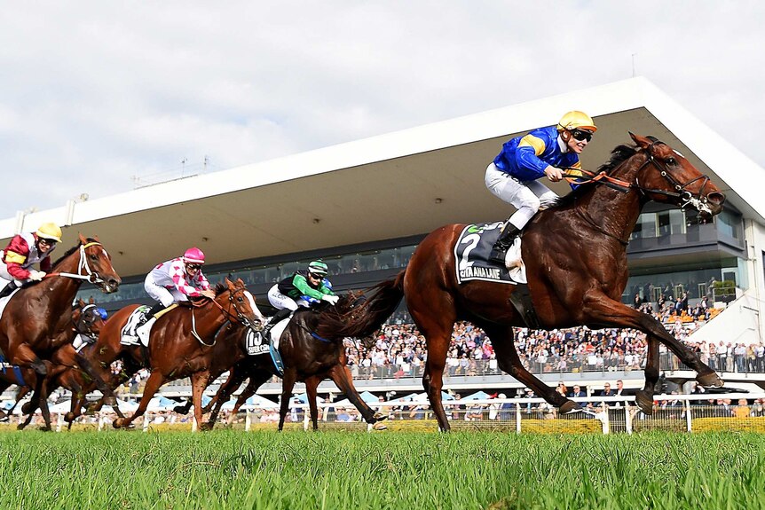 A horse race during UBET Stradbroke Day at Doomben Racecourse.