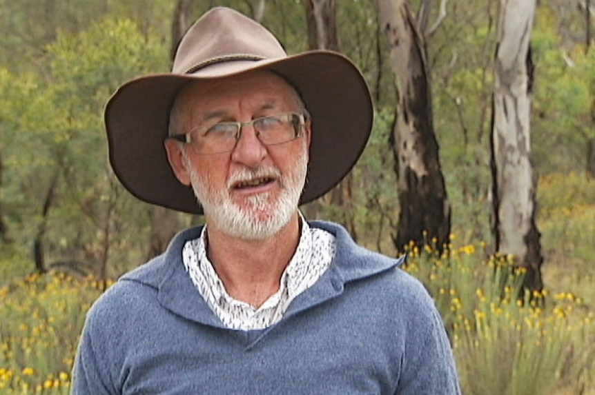 Ecologist Dr Michael Mulvaney said 95 per cent of Australia's yellow box and red gum woodland had been destroyed.