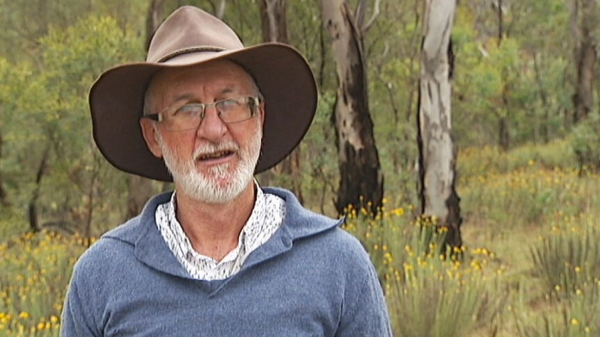 Ecologist Dr Michael Mulvaney said 95 per cent of Australia's yellow box and red gum woodland had been destroyed.