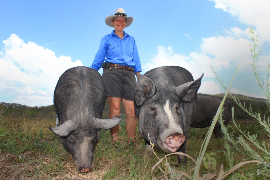 Deb McLucas with her free-range pigs