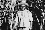 Q150-image1-kanaka for Q150 gallery - B&W photo of South Sea Islander labourer in Qld in 1898.