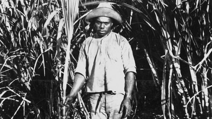 Q150-image1-kanaka for Q150 gallery - B&W photo of South Sea Islander labourer in Qld in 1898.