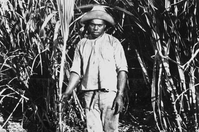 Q150-image1-kanaka for Q150 gallery - B&W photo of South Sea Islander labourer in Qld in 1898.