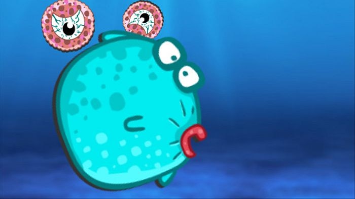 Screen shot of the Battle Fish game. A large aqua blowfish.