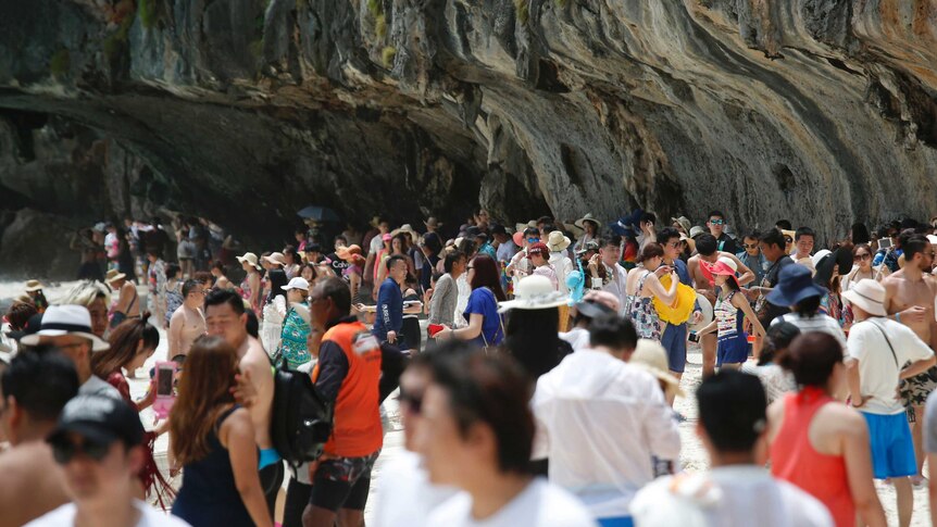 A heavy crowd of tourists walk along the Maya Bay