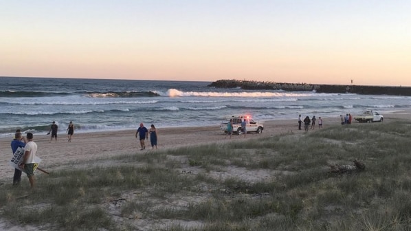 Shark attack at Ballina