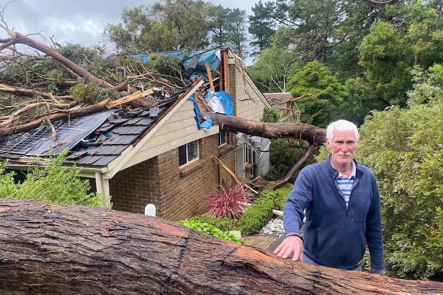 A man leans on a tree, behind him is a house with a large tree crushing it