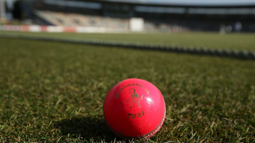 Pink ball option ... Hobart may be in line to host a day-night Test in the future