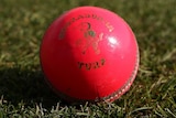 Pink ball option ... Hobart may be in line to host a day-night Test in the future