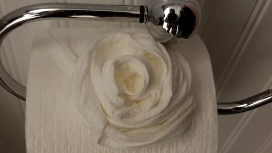 A roll of toilet paper at Nate Roman's house is fashioned into a rose.