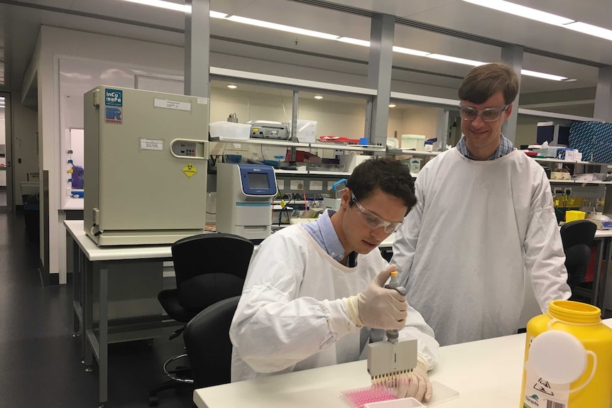 Hunter Medical Research Institute research student Matt Morten performs an experiment with Dr Adam Collison