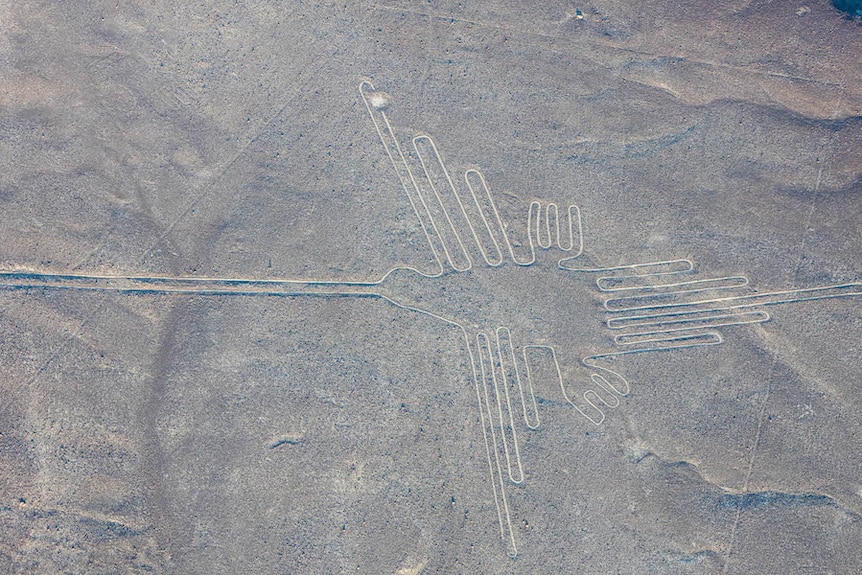 An image of a hummingbird, almost 100 metres in length, at the Nazca Lines.