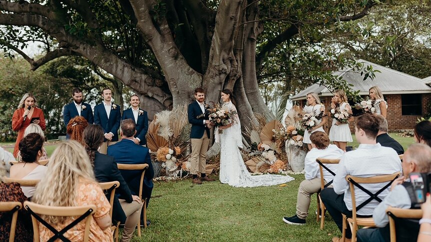 A large group at an outdoor wedding under a large fig tree