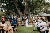 A large group at an outdoor wedding under a large fig tree