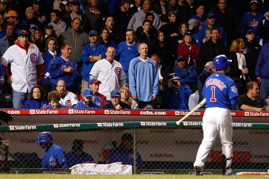 Cubs fans look on during the 2008 MLB playoffs