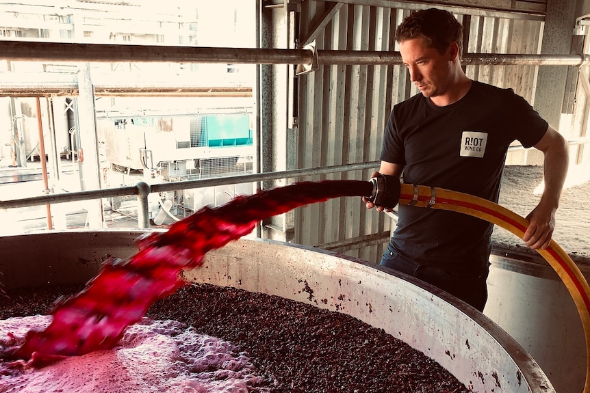 A man pouring wine with a hose in a barrel.