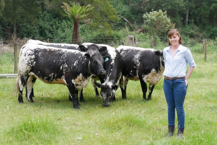 A woman standing in a paddock with cattle