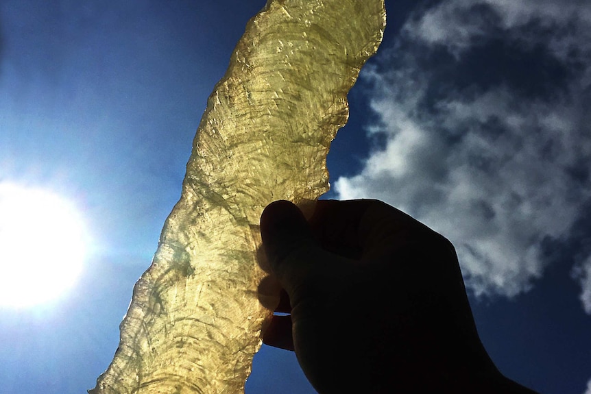 Speleothem layers in sunlight