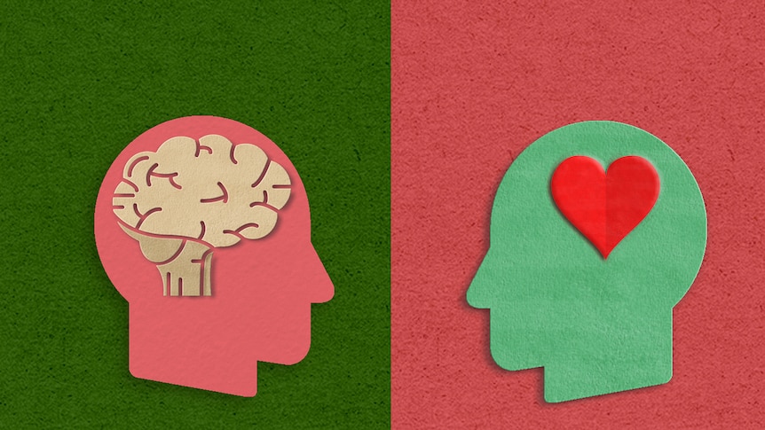 two animated heads looking at one another. in the left is a brain and in the right is a heart shape