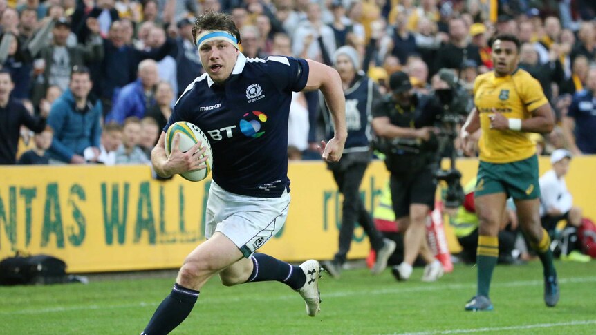 Scotland's Hamish Watson scores the visitors' third try against the Wallabies.