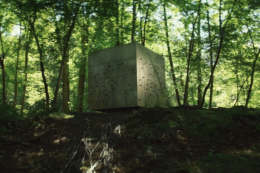 A big grey cube filled with plugs and cables in a forest in the film Lapsis