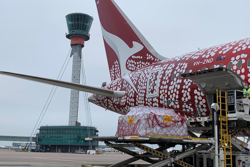 A Qantas plane is loaded up with the Pfizer vaccine shipment from the UK to Australia.