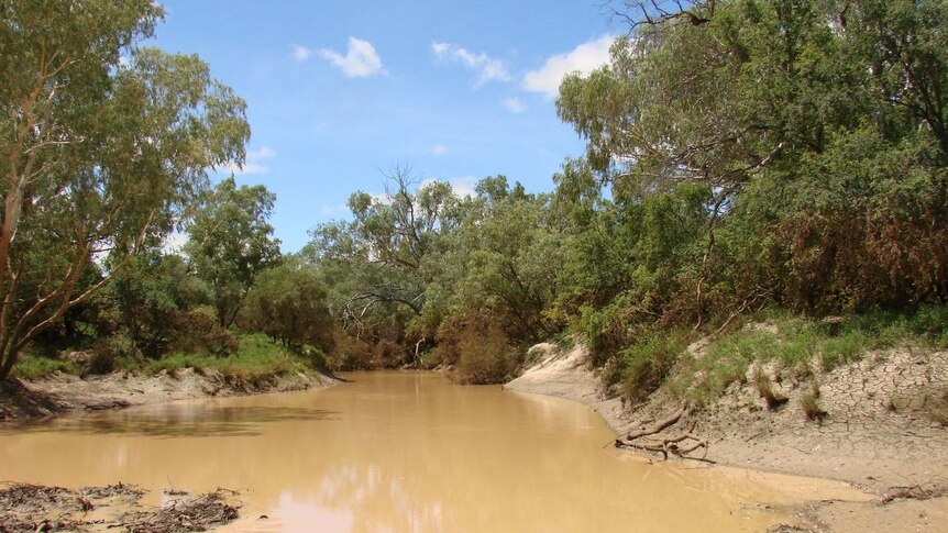 Good rain over Christmas in the Longreach region resulted in a moderate flood in the Cooper Creek.