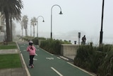 A girl in a pink jumper rides a scooter down a bike path lined with palm trees on an overcast, foggy day.
