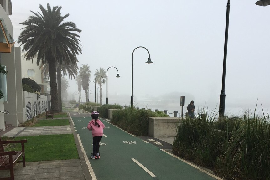 A girl in a pink jumper rides a scooter down a bike path lined with palm trees on an overcast, foggy day.