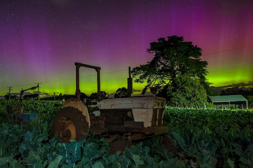 The aurora australis over cabbage patch