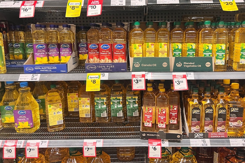 Cooking oil bottles on a supermarket shelf with price tags below.