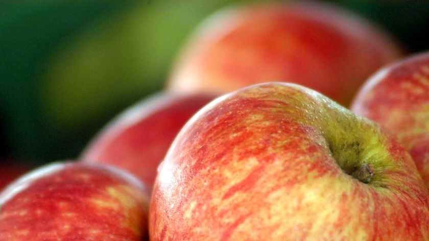 Red apples piled at a fruit shop