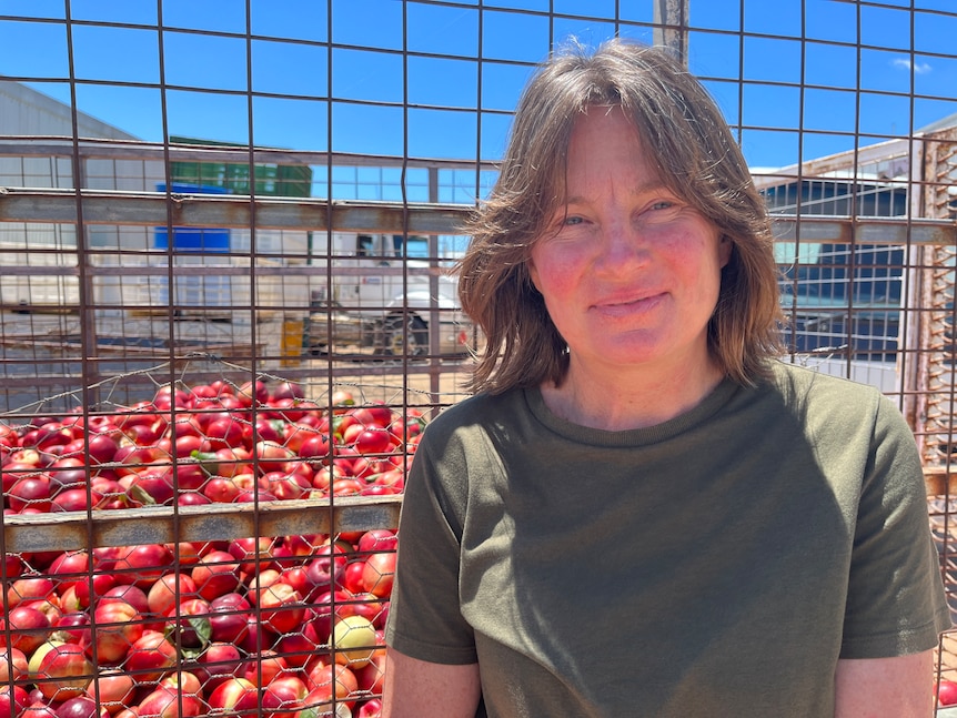 A smiling Caucasian women, shoulder-length hair in front of a trailer full of nectarines.