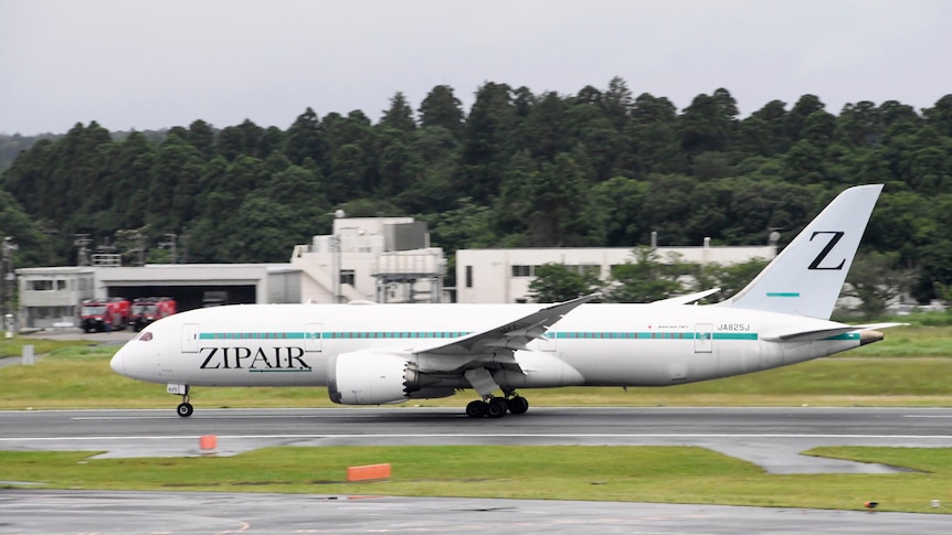 an airplane of Japanese low-cost carrier Zipair at Narita Airport in Narita, near Tokyo