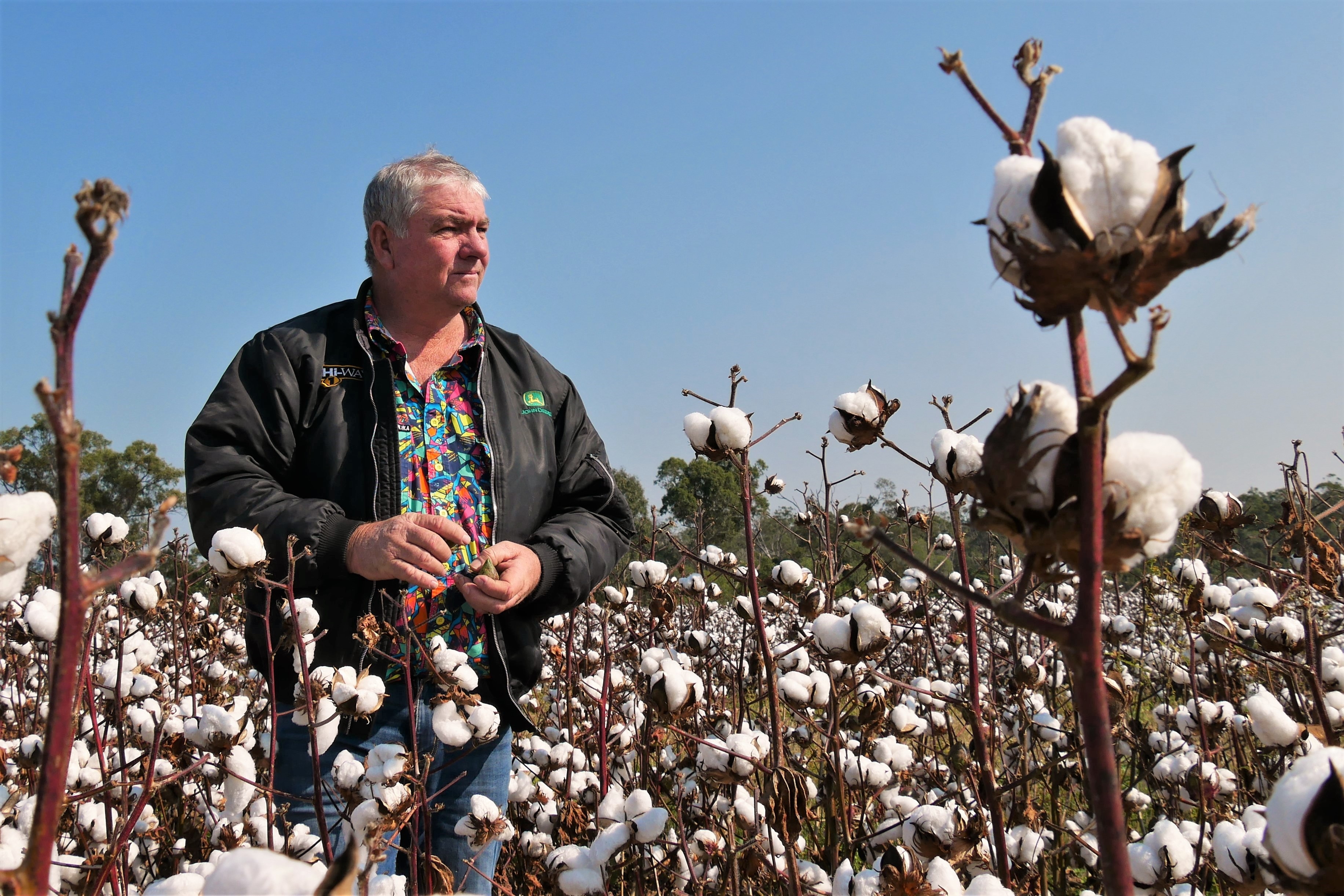 Older male cotton grower stands in cotton field looking off into the distance wearing colourful shirt and dark green jacket